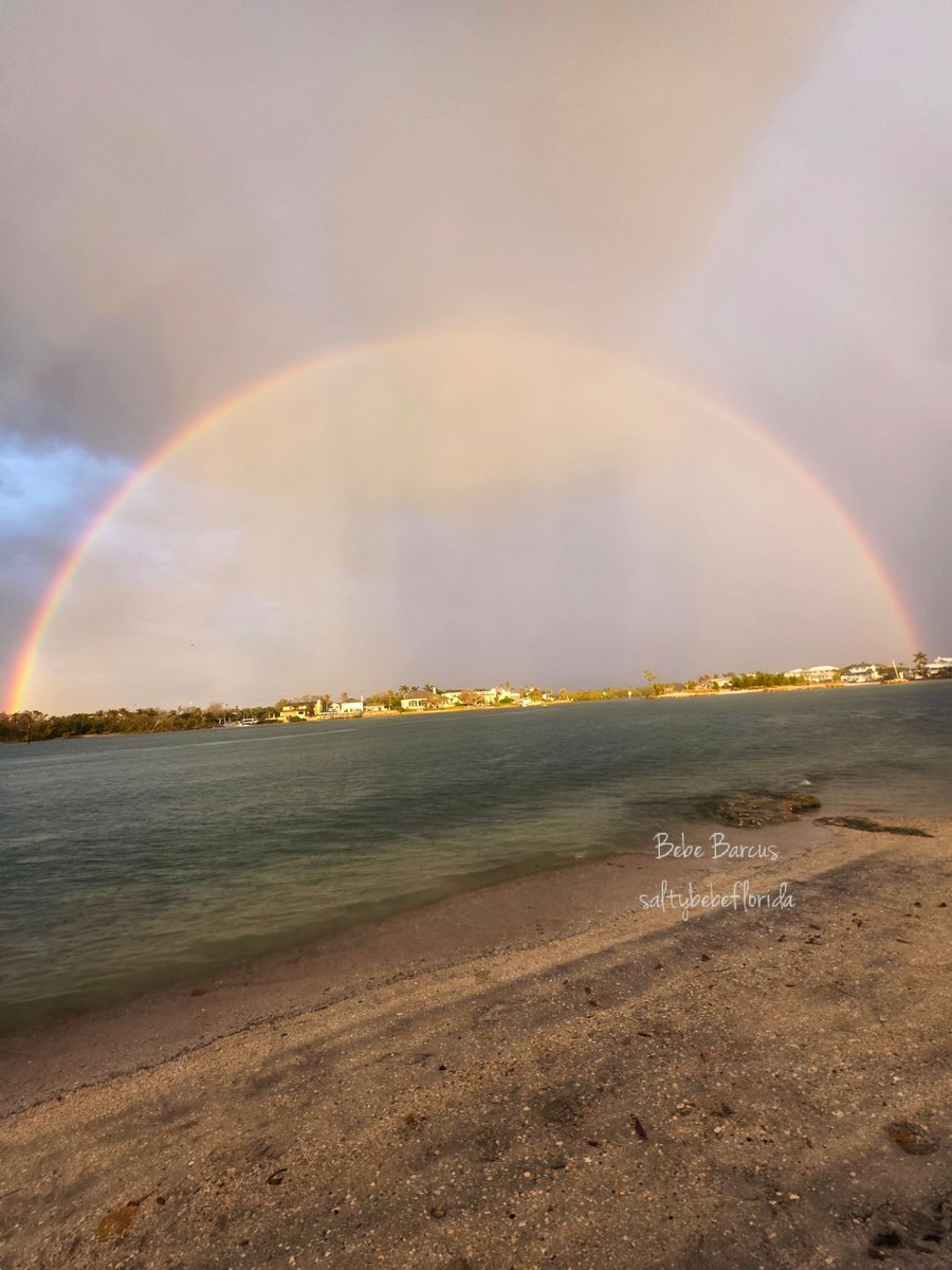 Bebe Barcus tweet media