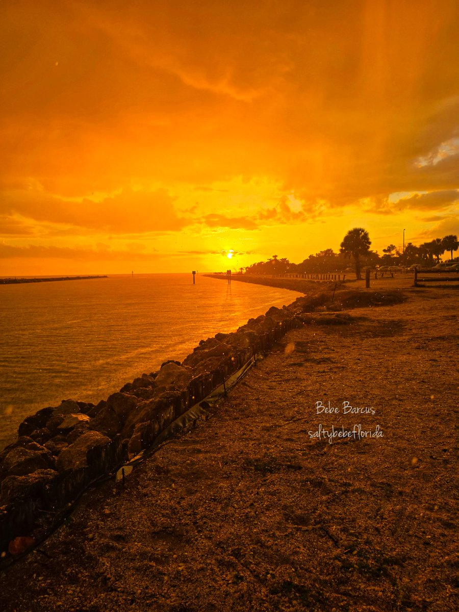 Bebe Barcus tweet media