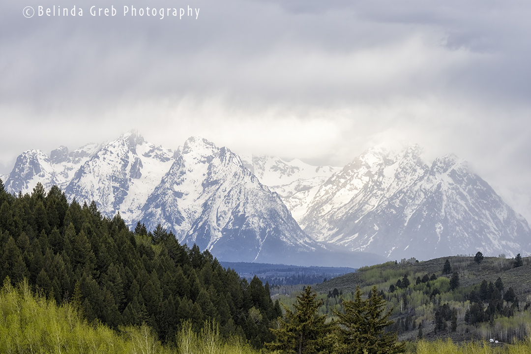 BelindaGreb's tweet photo. “Mountains, according to the angle of view, the season, the time of day, the beholder’s frame of mind...can effectively change their appearance...it is essential to recognize...we can never know more than...one small aspect of a mountain.” Haruki Murakami
©Belinda Greb
Msg 4 link https://t.co/mfdEuqp13q