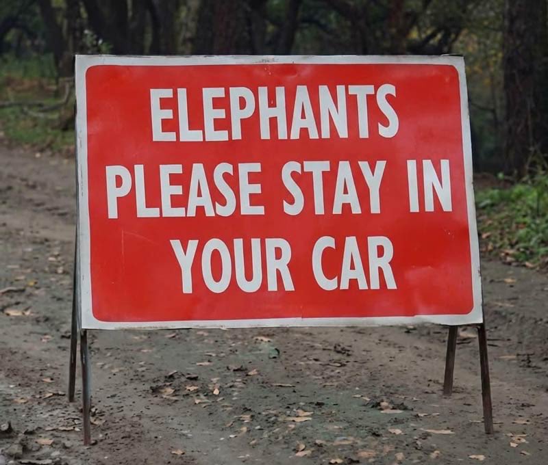 WAIT THEY CAN FUCKING DRIVE NOW