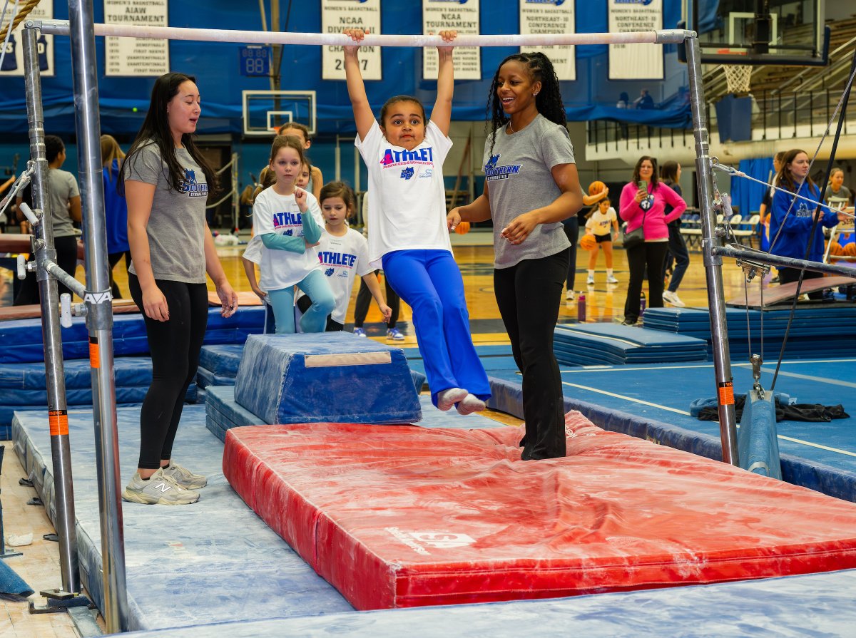 Dr. Sandra Bulmer tweet media