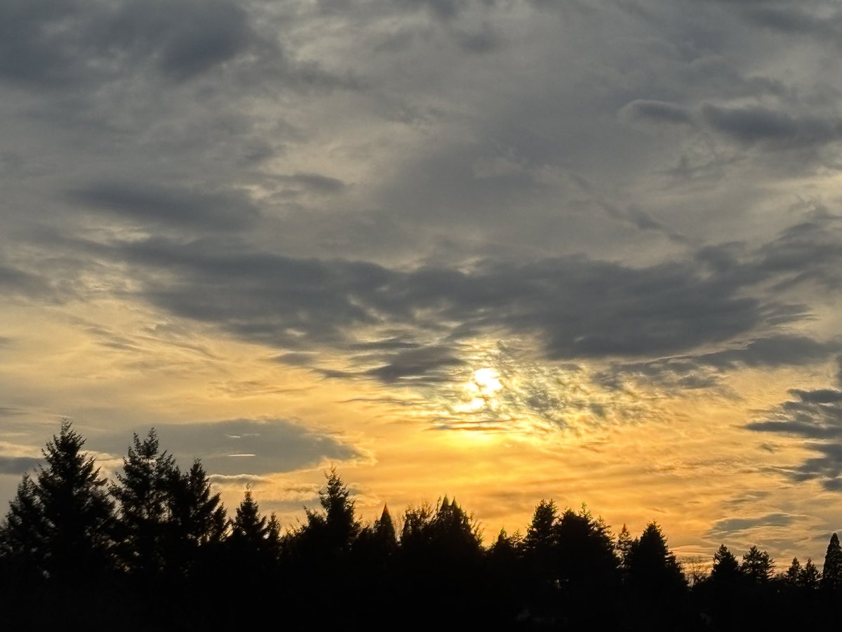 March sunset in Portland, Oregon.
Photos by David Laurence Wilson.