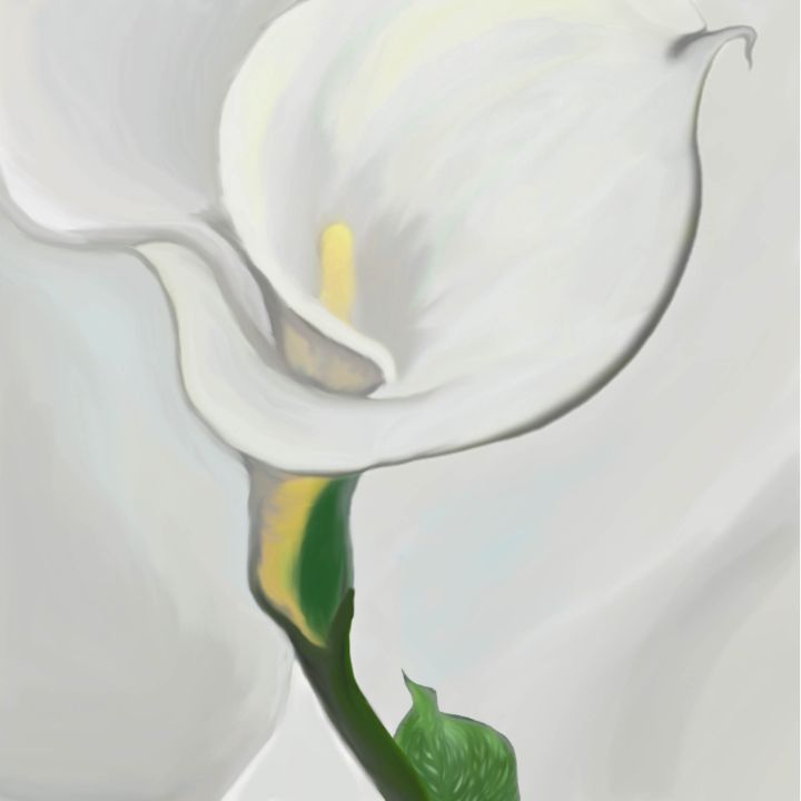 Susviv_oxild's tweet photo. Art of the Day! ""Calla Lily in Bloom"". View at: https://t.co/2oezikHxxR https://t.co/FvQAYmktA2