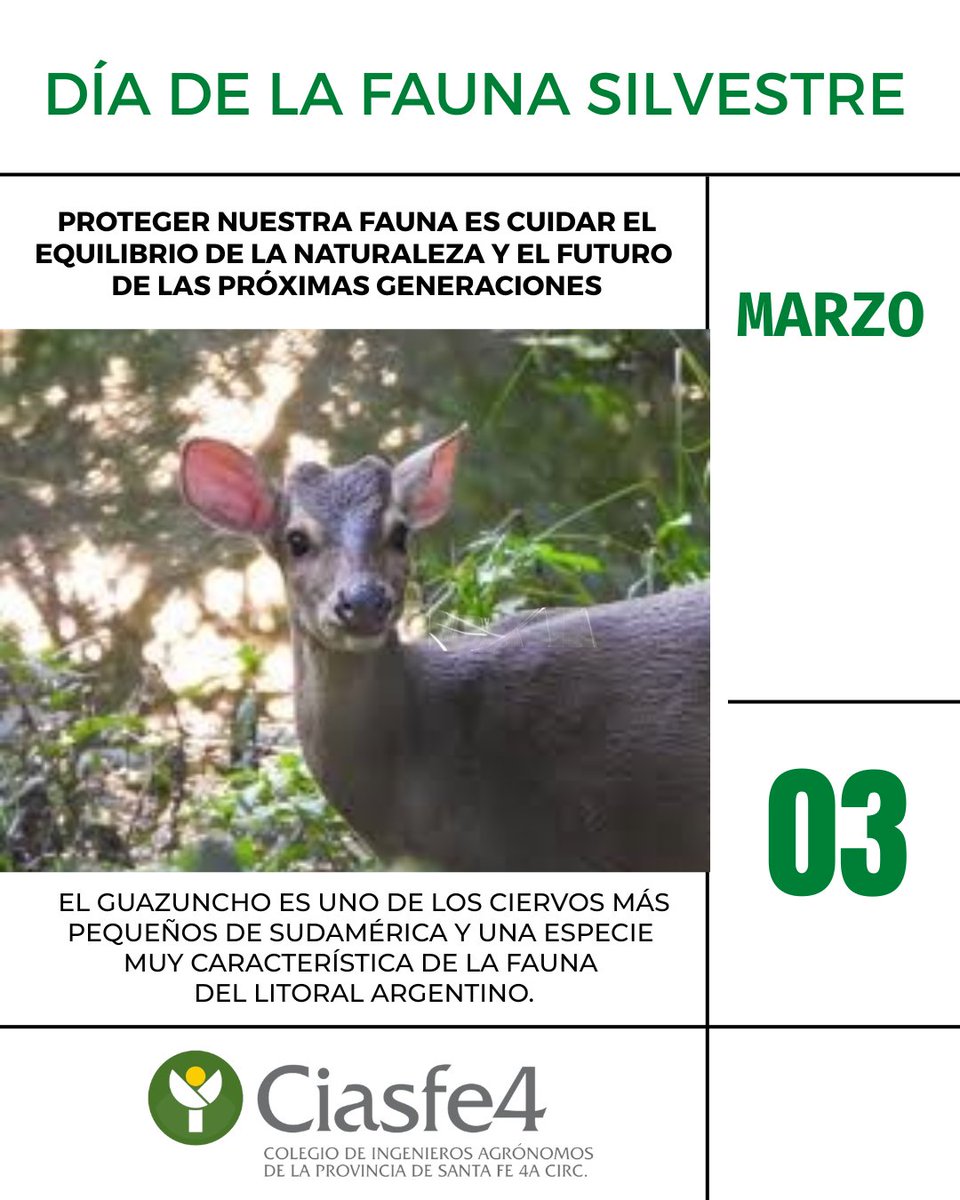 Ciasfe IV tweet media