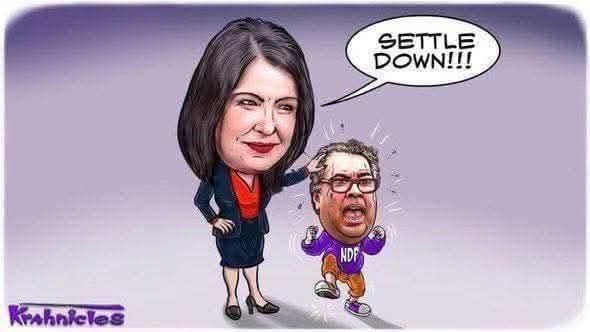 zigs exploration tweet media