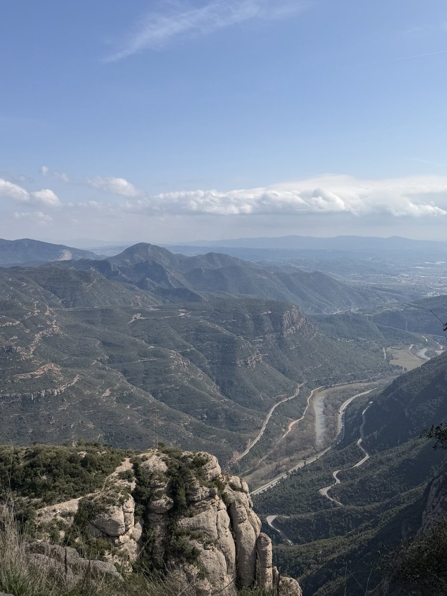 Mercer Women's Soccer tweet media