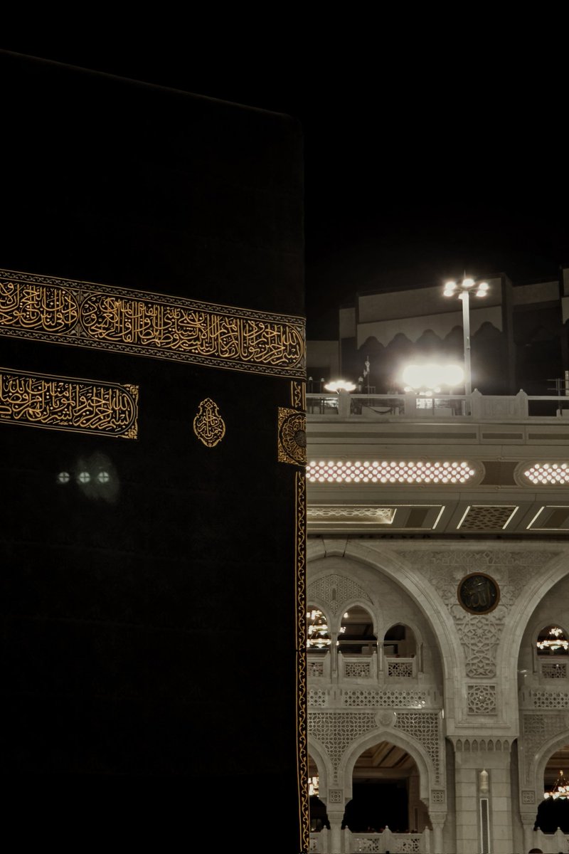 مـيـر . tweet media