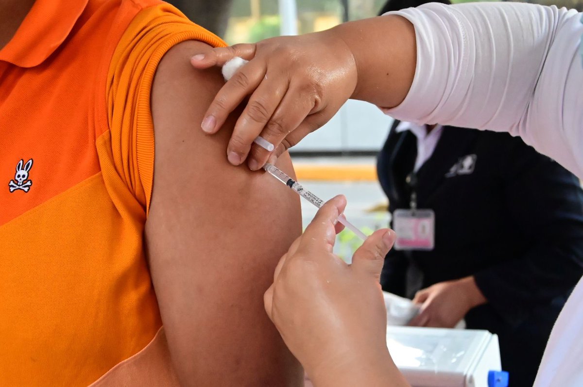 @norabucio tweet media