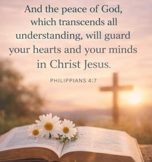 Capt. RayRay tweet media