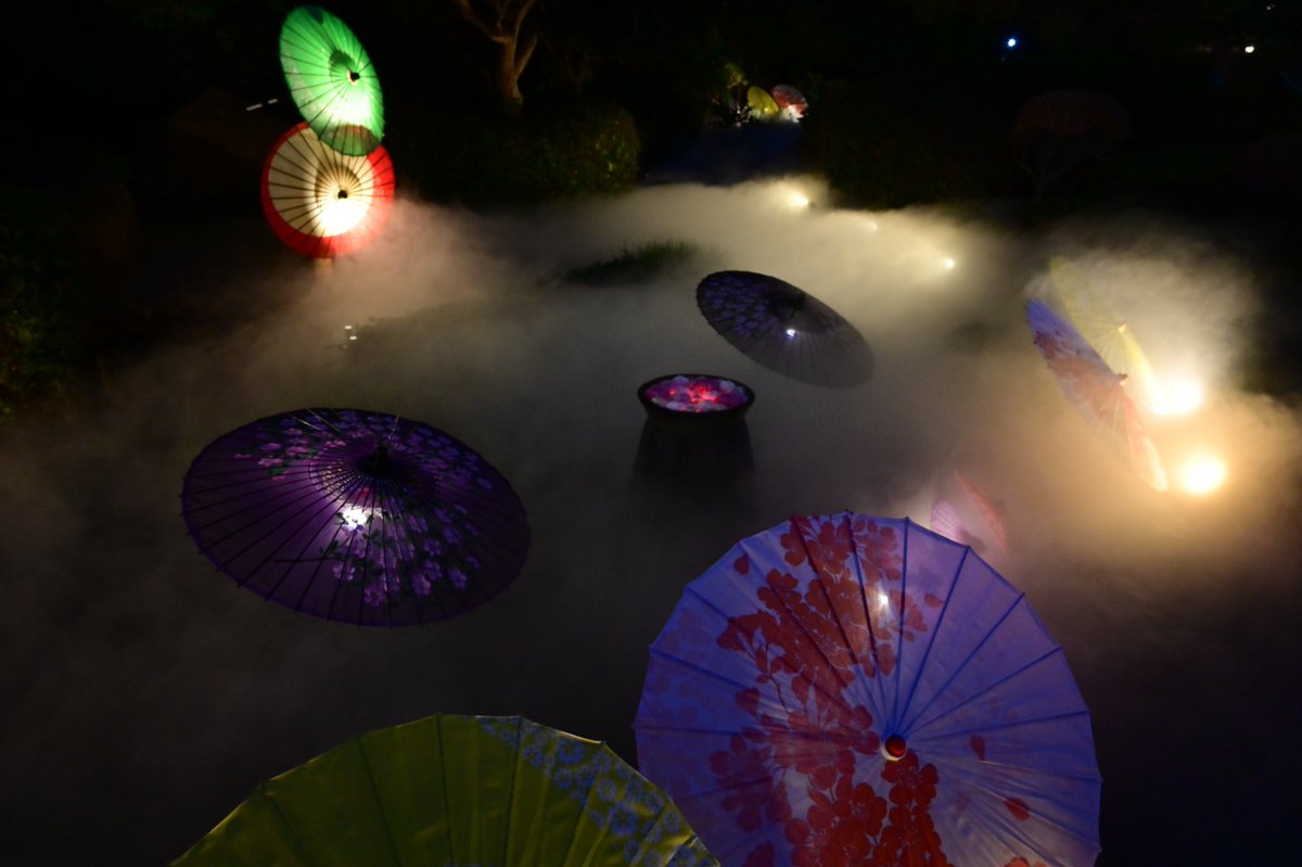 行田市 tweet media