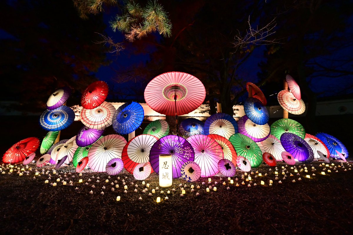 行田市 tweet media