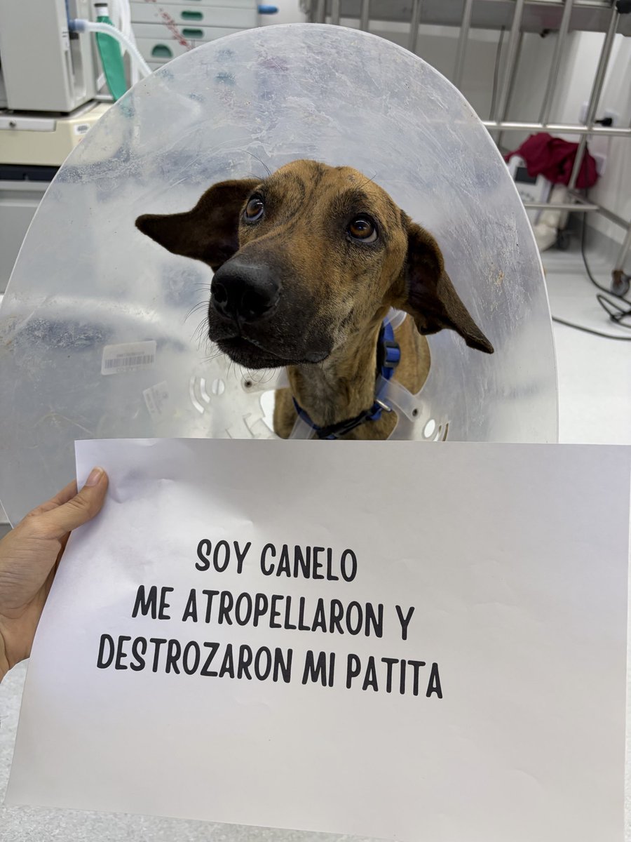 marianna tweet media