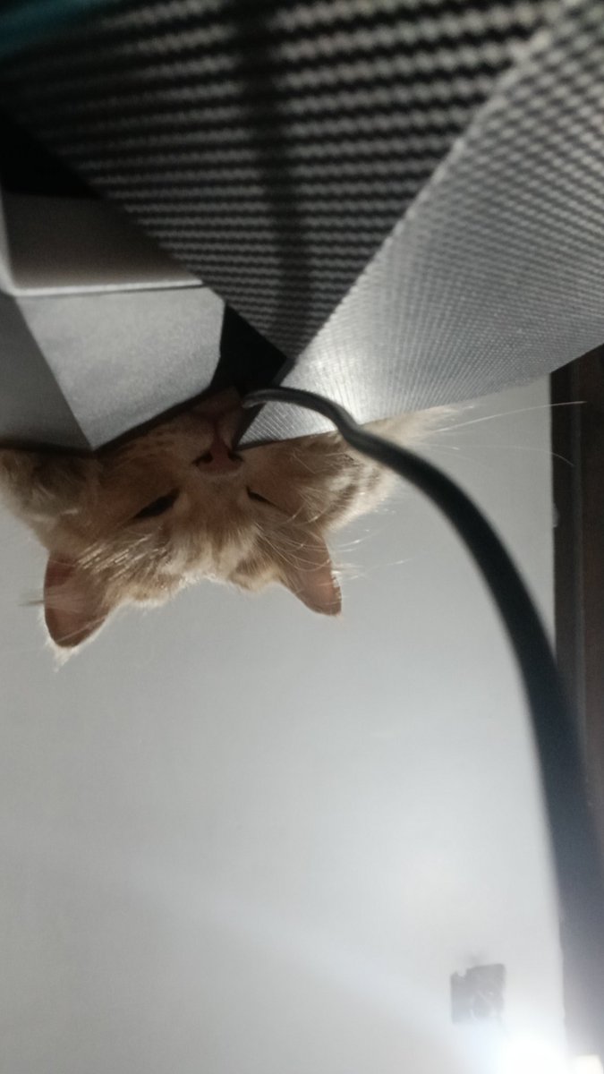 No new posts, and I'll continue finishing comms tomorrow