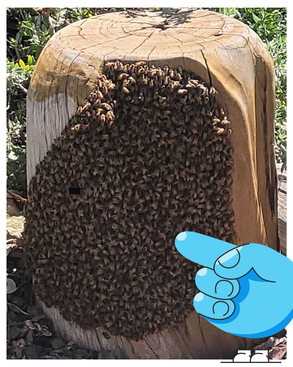 Snap Send Solve tweet media