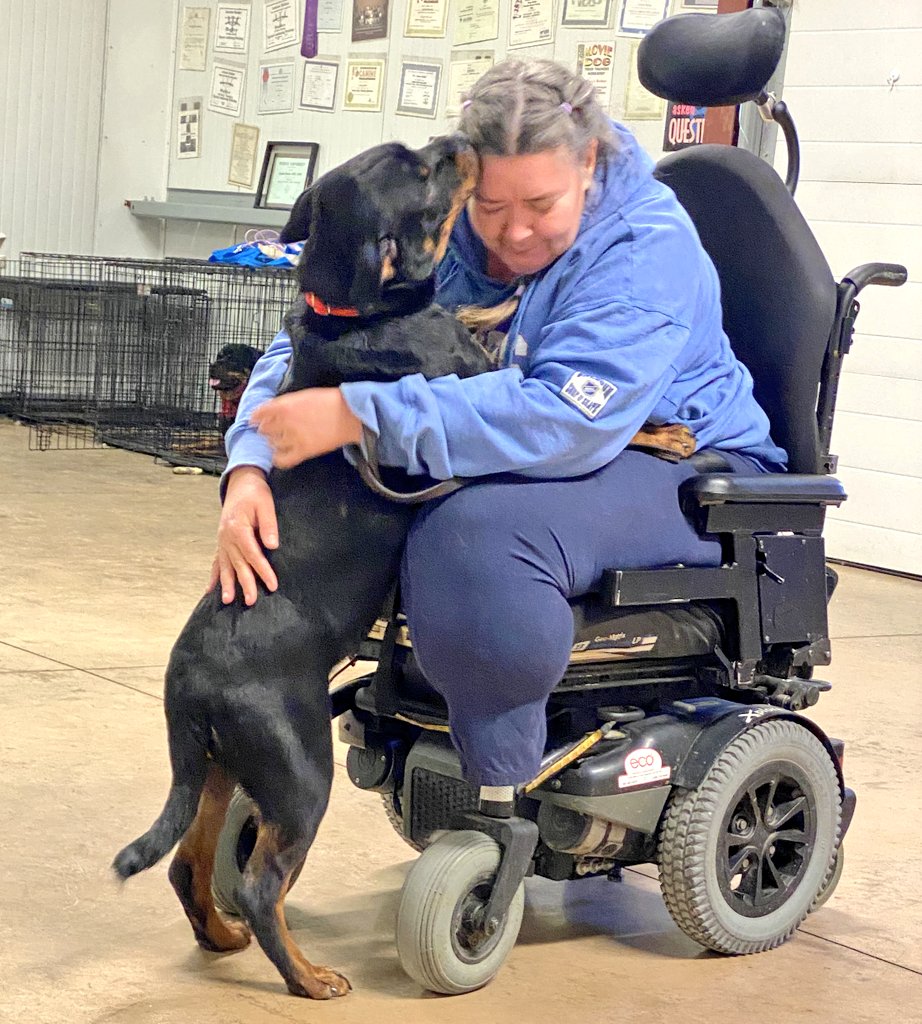 I'm Chesnyy—Professional Good Girl™, and big sis to the baby moose you see below. 🖤🐾

When baby Kenji first arrived like an oversized chaos potato with giant clown paws, I was suspicious. 'These are MY wheelchair kisses, newbie.' Jealous? Guilty as charged.

But I've watched