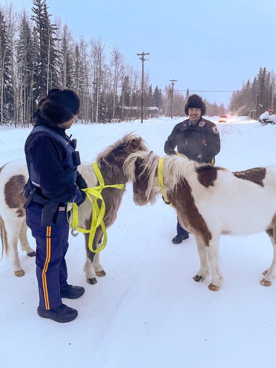 Alaska State Troopers tweet media