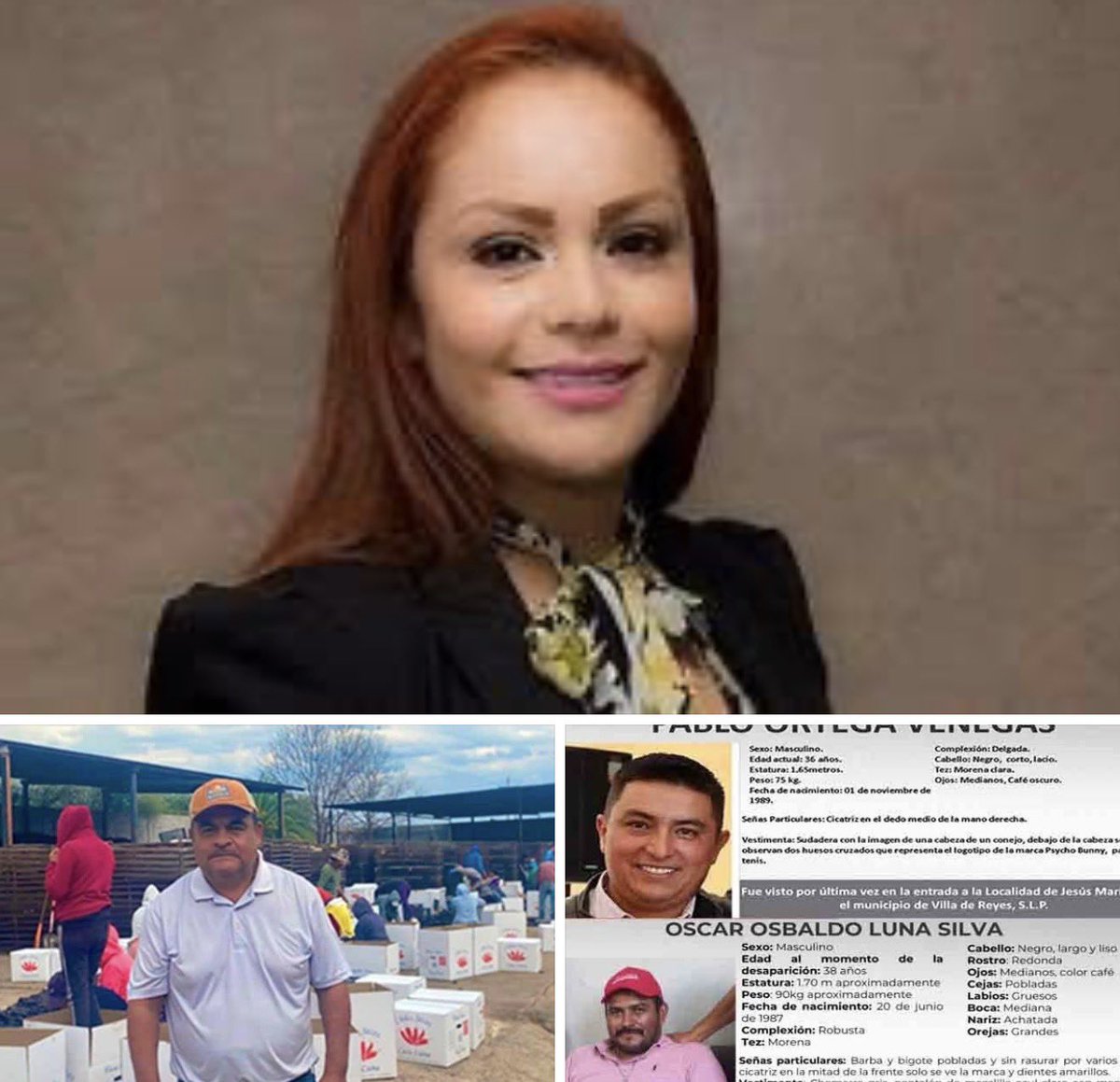 🔴Las muertes salvajes de opositores políticos en Villa de Reyes‼️… n9.cl/ghg7y6

#SLP #VillaDeReyes #politicos #erikabriones #PotosiSinLimites #ElCambioQueSeVive #morena #PartidoVerde #aurelioluna #PabloOrtega #oscarosbaldo #RitaOzalia #politica #Accidente