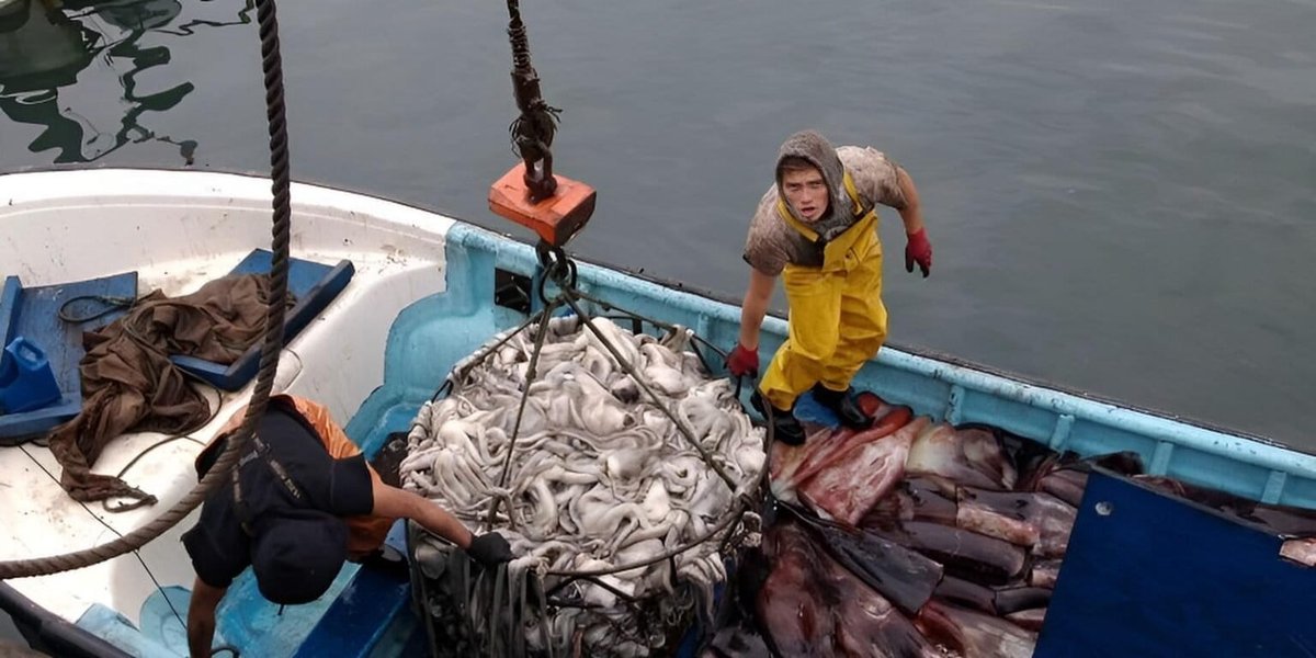 Mongabay Latam tweet media