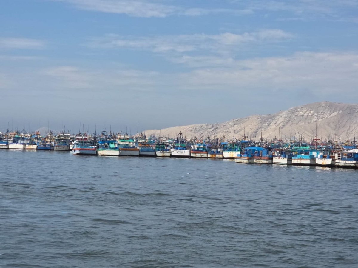 Mongabay Latam tweet media