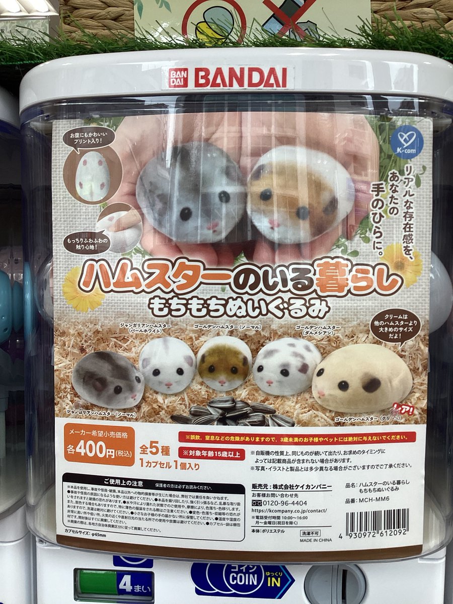 🎀ガシャココ浅草入荷商品🎀 🐹ハムスターのいる暮らし🐹 🐱ねこパン