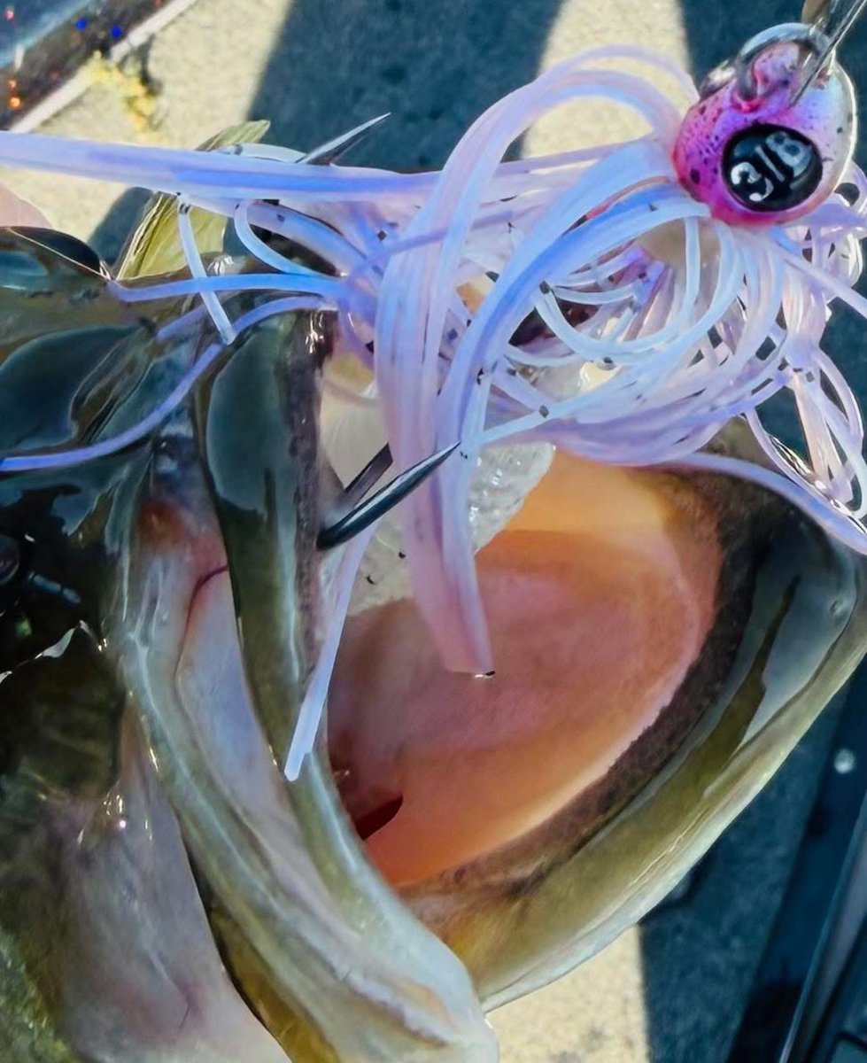 JayKumarBass tweet media