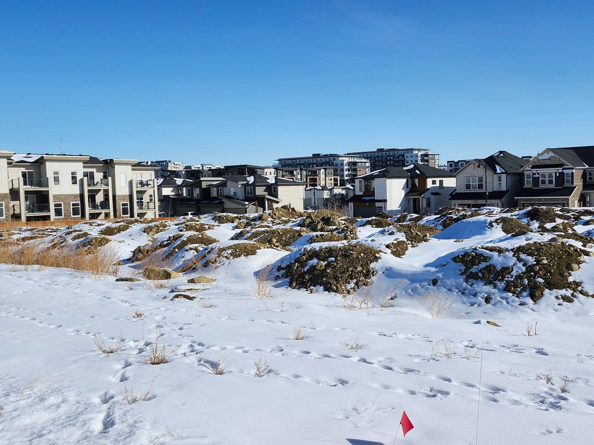 Walking Calgary tweet media