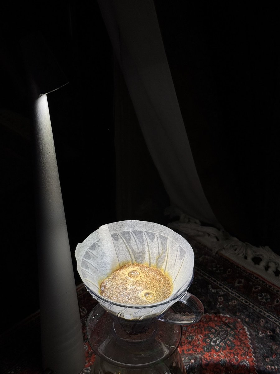 somewhereonthisearth tweet media