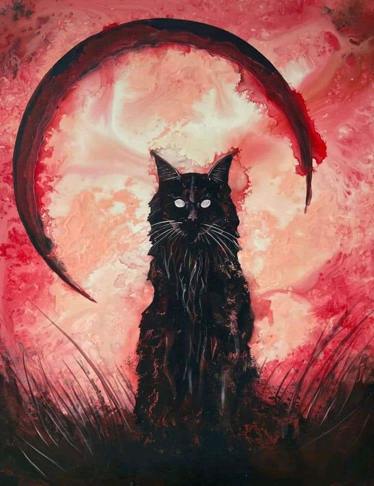 Black. (@blackdreamvibes) on Twitter photo 