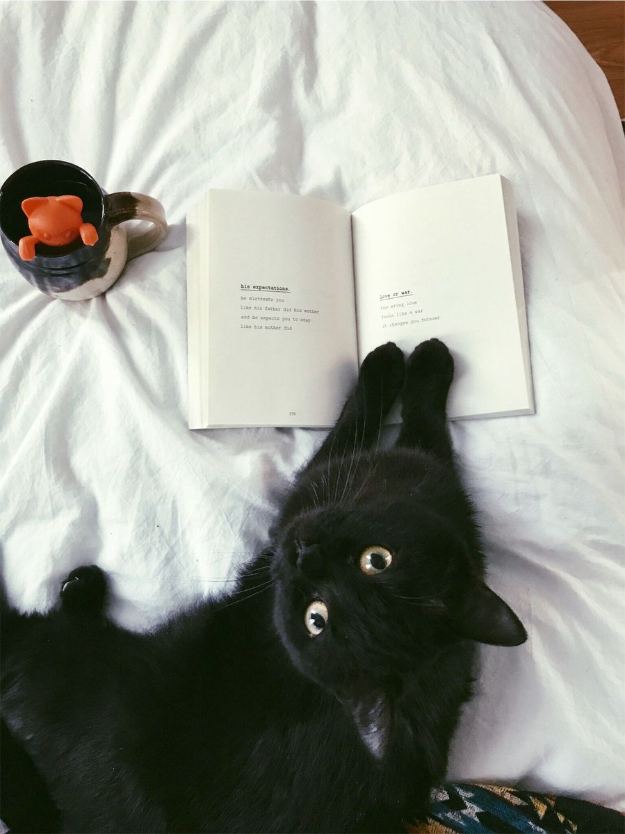 Black. (@blackdreamvibes) on Twitter photo 