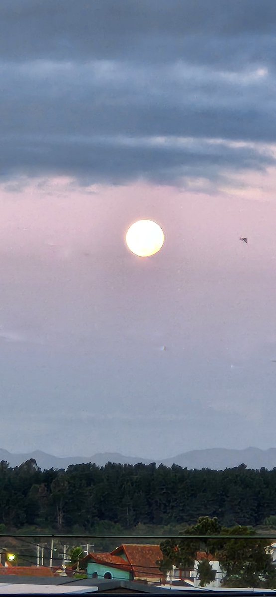 Gonzalo Codina 🇨🇱 tweet media