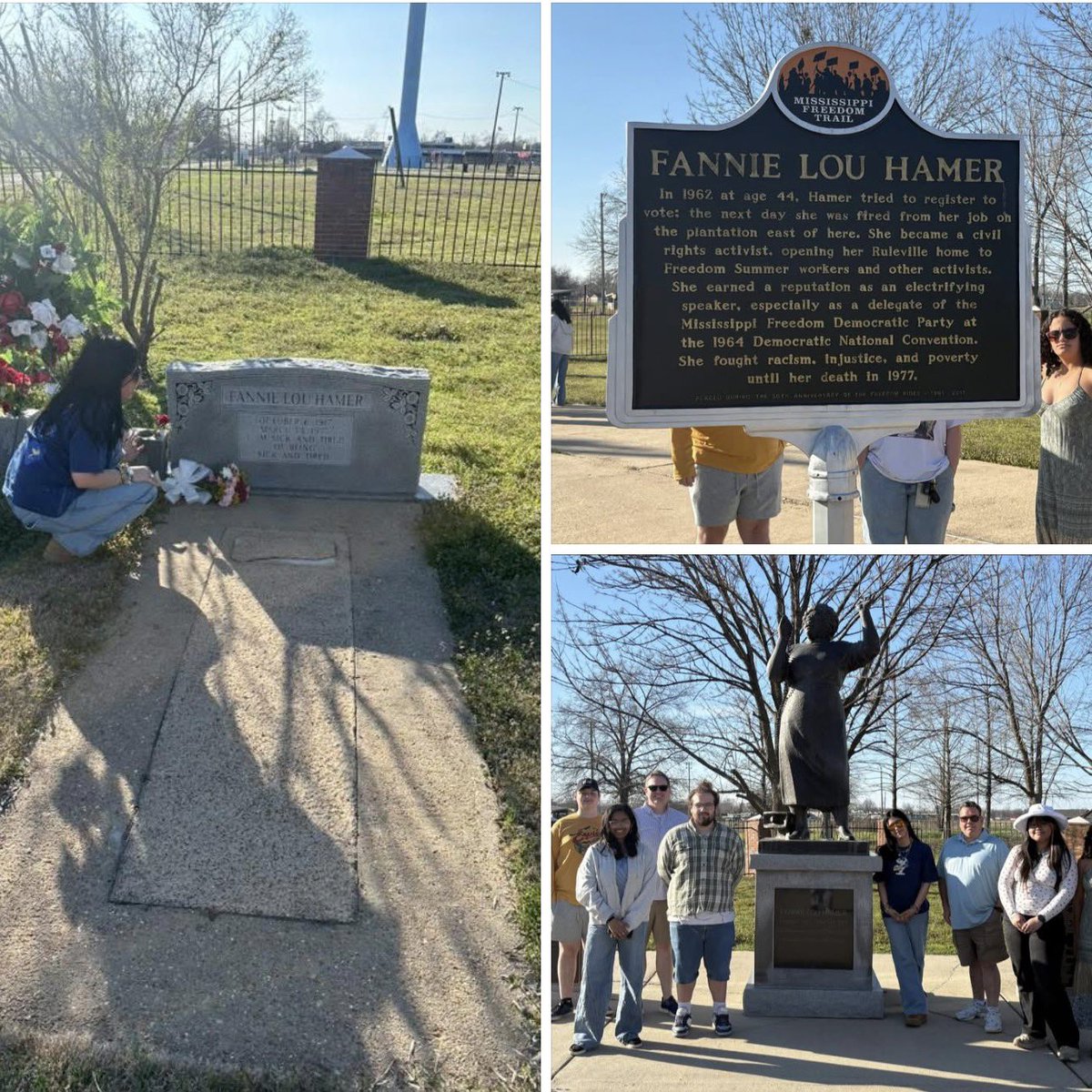 NEC Politics Department tweet media