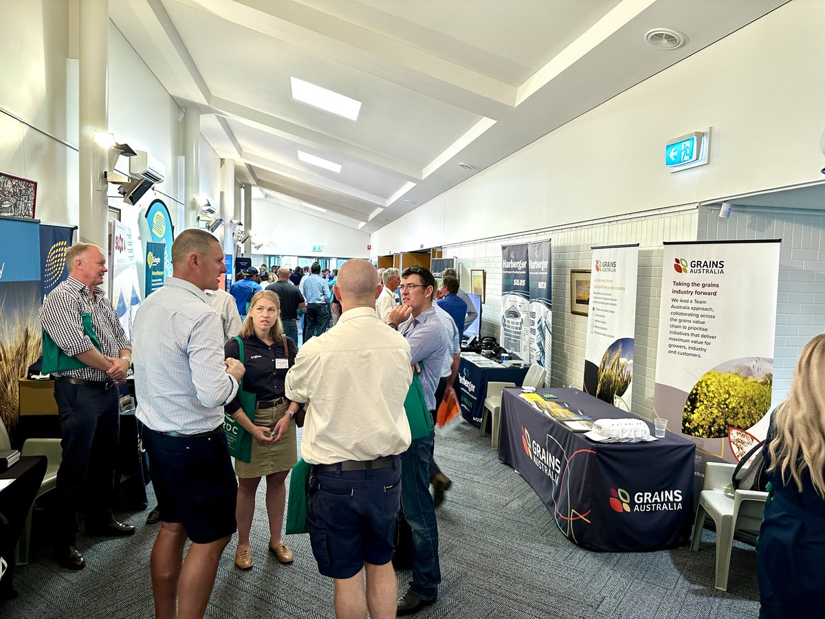 GrainsAustralia's tweet photo. We’re excited to be back in Goondiwindi for another packed GRDC Grains Research Update.

We love any opportunity to chat with growers and showcase the key Grains Australia functions that support our industry.

Grains Australia is an initiative of @theGRDC.

#GRDCUpdate https://t.co/rTSVedb6sr