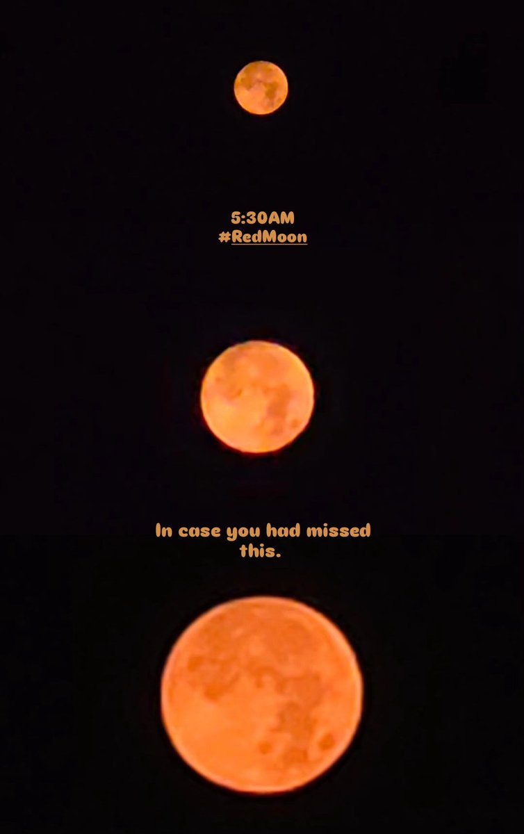 Ananthaforu's tweet photo. If you have missed this, this morning, try this evening or tomorrow early morning. It's spectacular. #RedMoon.
Shot on @nothing #Nothing3APro https://t.co/aKejdflYi6