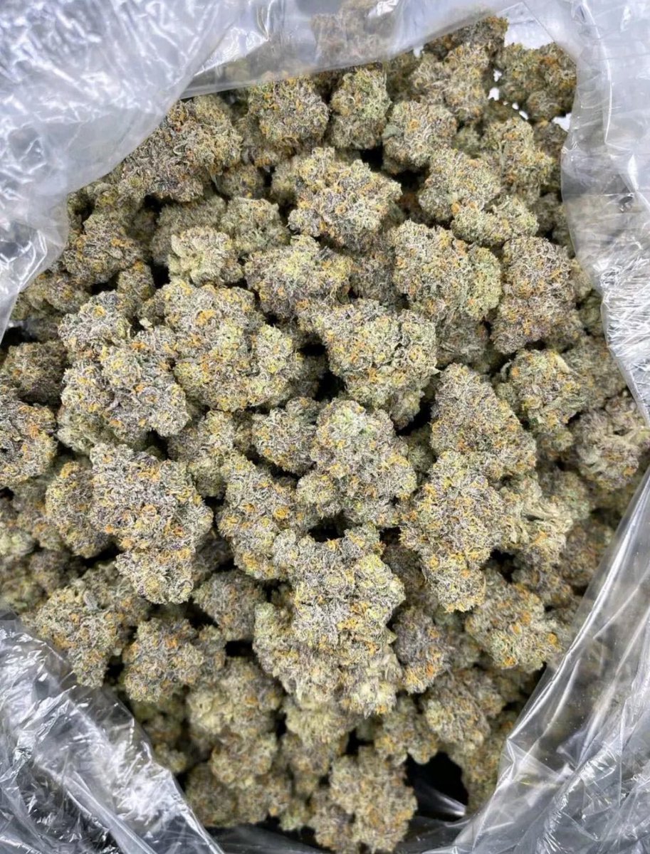 DISCREET PACKS tweet media