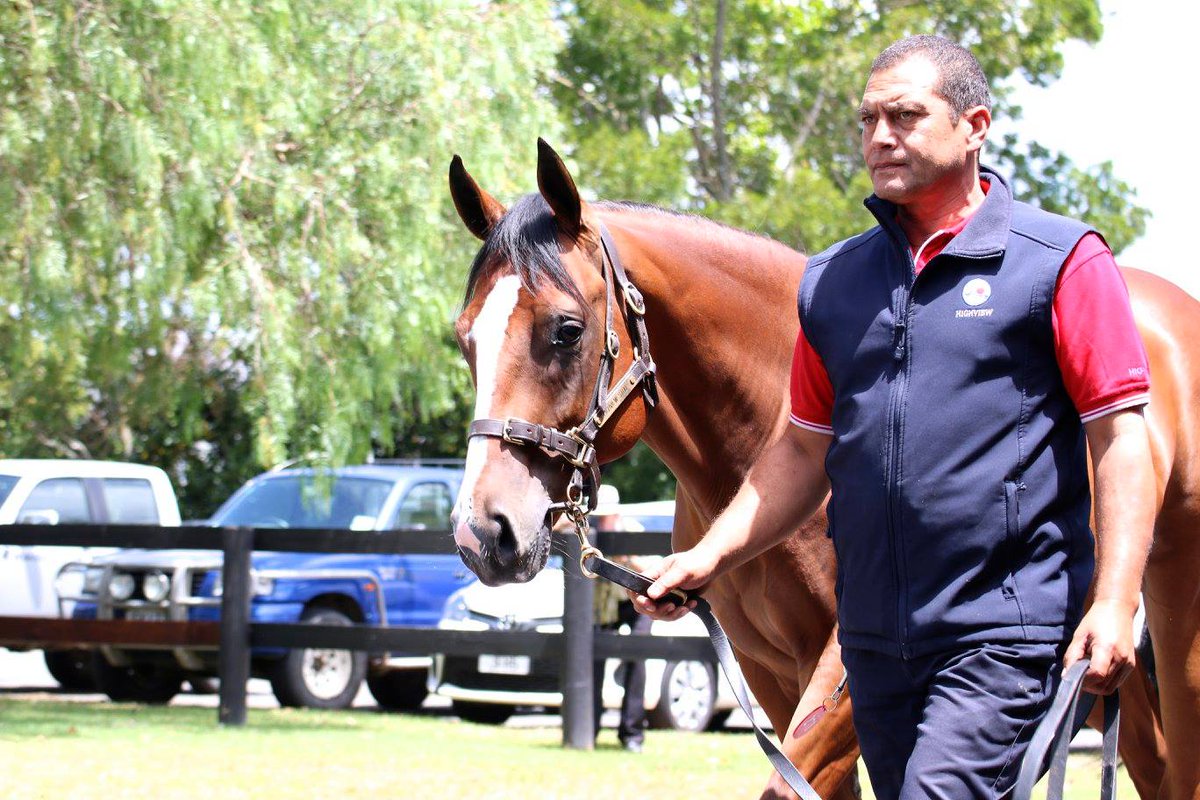 New Zealand Bloodstock tweet media