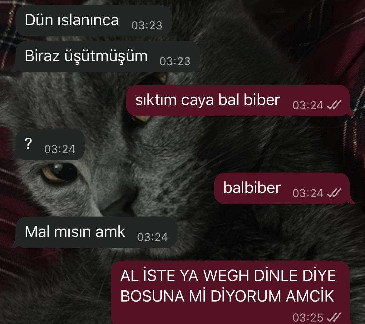 abi beni kimse anlamiyo niye wegh dinlemiyonuz amk
