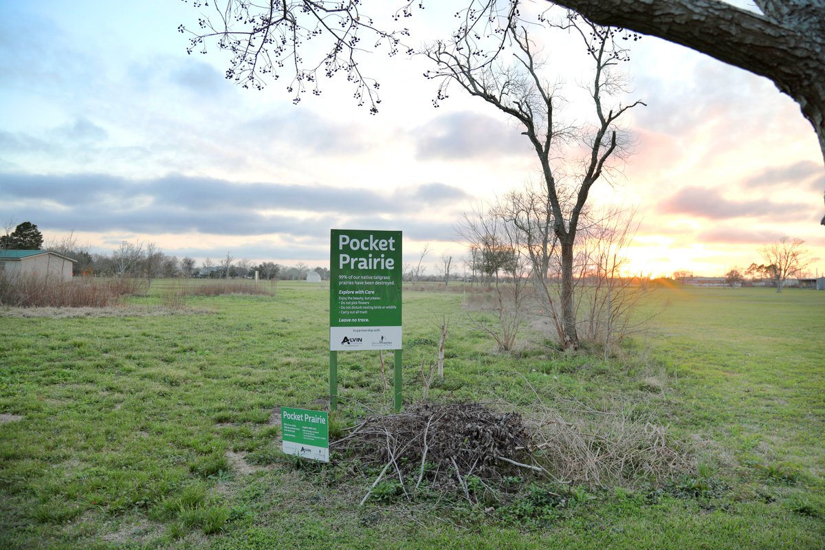 Alvin College tweet media