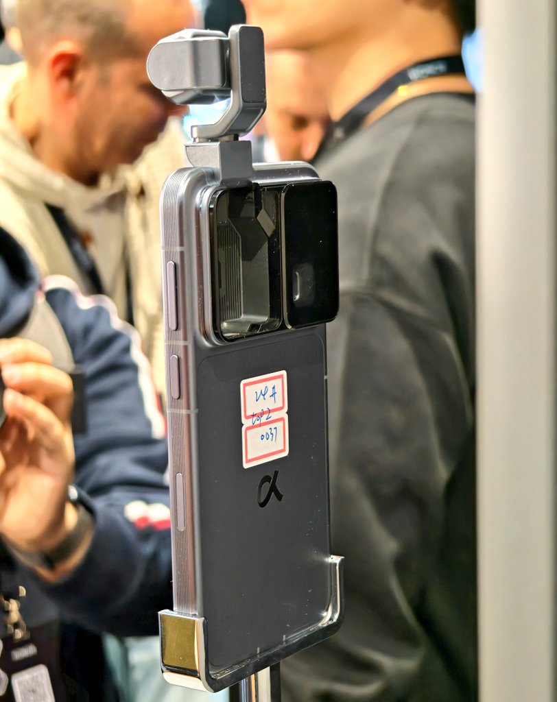 ELTEMBLON tweet media