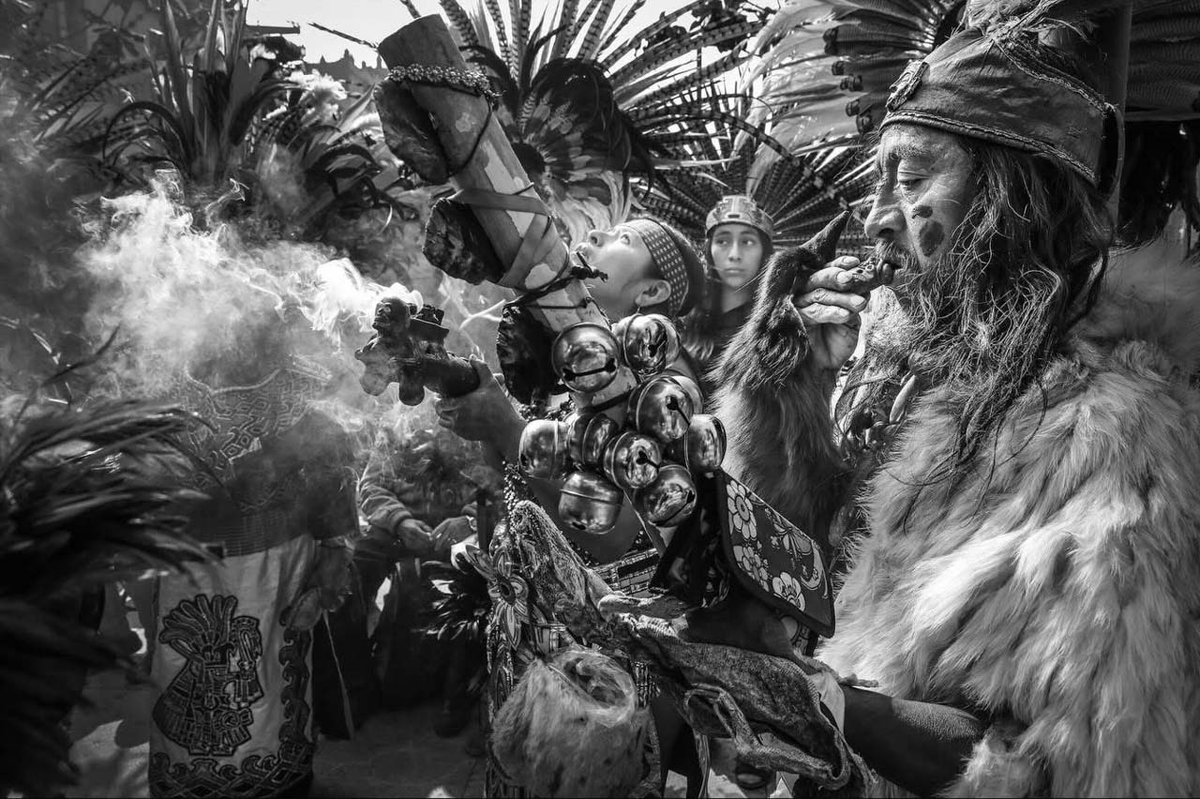 Diario Marca Oaxaca tweet media