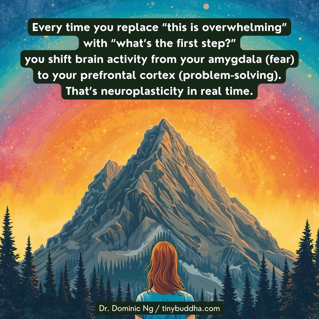 "Every time you replace 'this is overwhelming’  with 'what’s the first step?’  you shift brain activity from your amygdala (fear) to your prefrontal cortex (problem-solving). That’s neuroplasticity in real time.” <a href="/DrDominicNg/">Dr. Dominic Ng</a>
