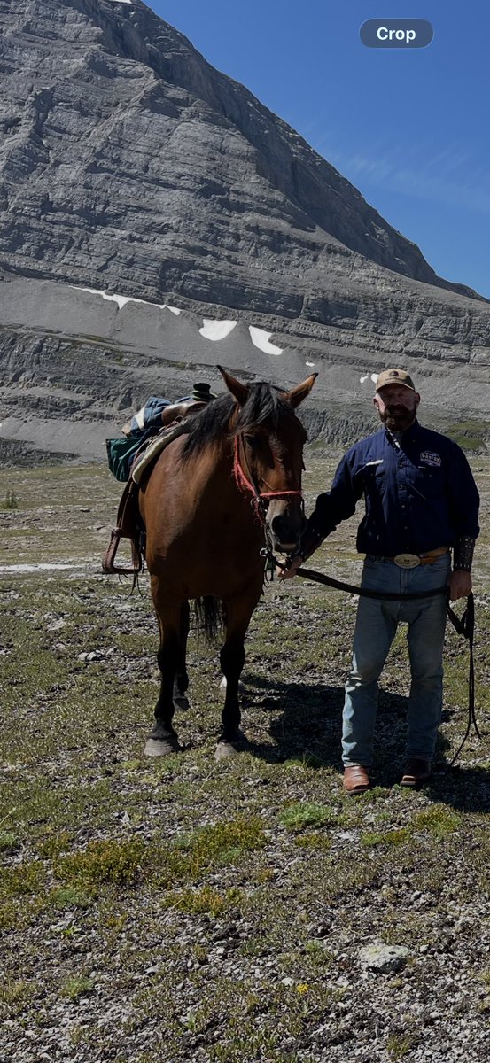 wade_neff tweet media