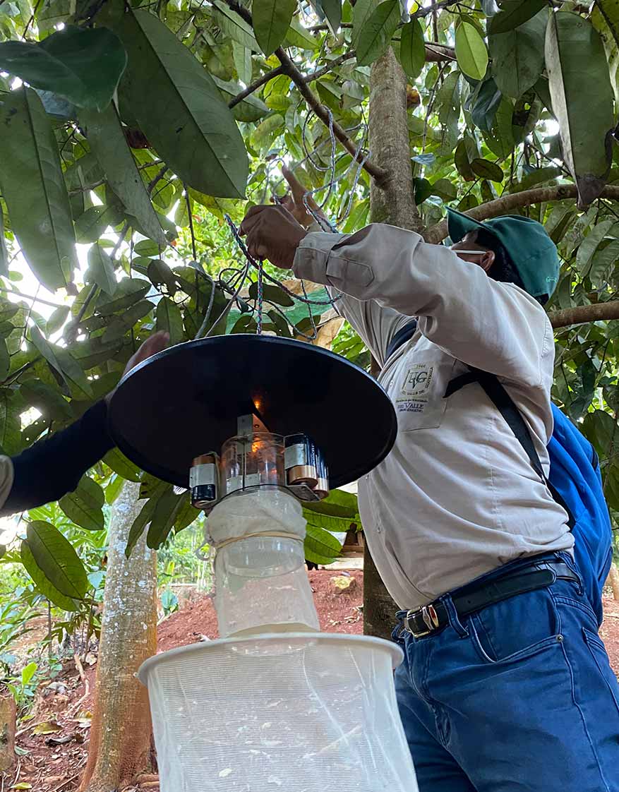🔬🦟 Nuestra investigación logró que la <a href="/opsoms/">OPS/OMS</a> incluya nueva especie de Leishmania en Guatemala.

👩‍🔬 El hallazgo del <a href="/CesUvg/">Centro de Estudios en Salud</a> en Alta Verapaz amplía el panorama sobre las especies que circulan en el país.

➡️ noticias.uvg.edu.gt/investigacion-…