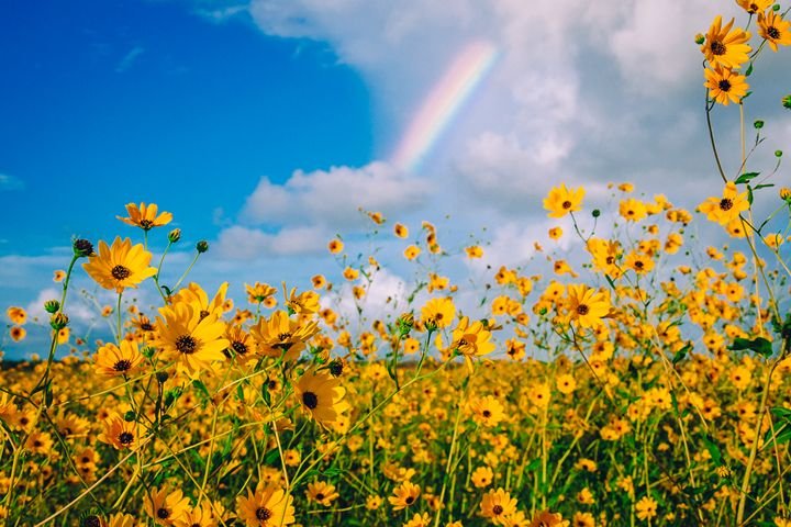 How it feels to wake up to a Real Madrid loss