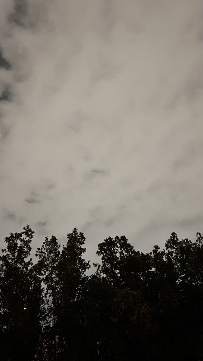 هـدّاج tweet media