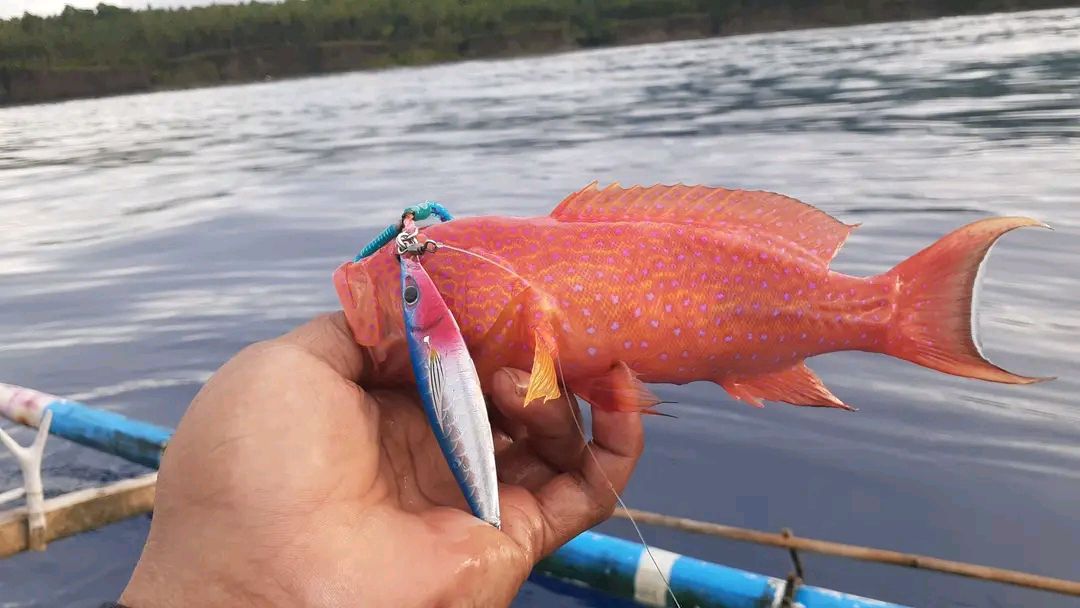 Why don't you go fishing? tweet media