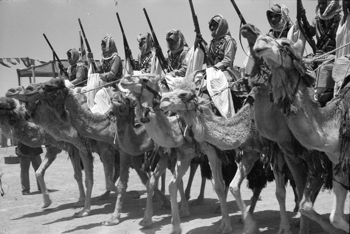 الظـفيري tweet media