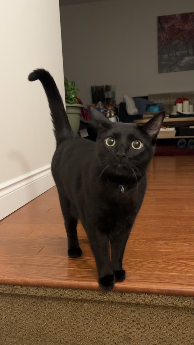 Sock’s father tweet media