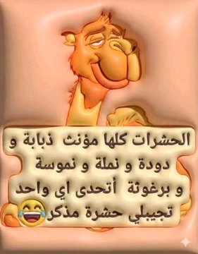 abo3ly abo3ly elimny (@aelimny34953) on Twitter photo 