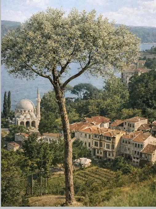 Rüya gibi: Bebek, 1920'ler