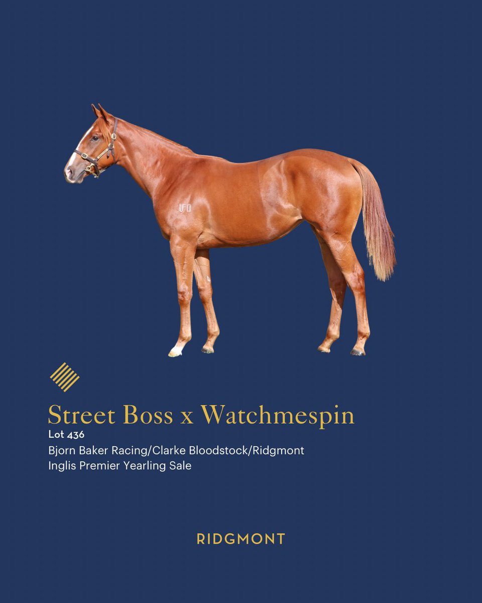 Ridgmont tweet media